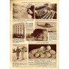 Ilustrowany Kurier Codzienny. Bezpłatny dodatek tygodniowy "Ilustrowanego Kuriera Codziennego" do nr 46. R.13 (1937). Nr 9 (656)