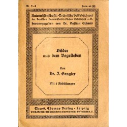 Bilder aus dem Vogelleben