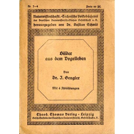 Bilder aus dem Vogelleben