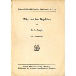 Bilder aus dem Vogelleben