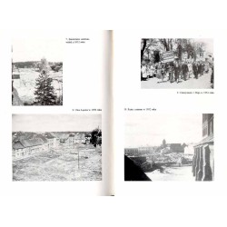 Świdwin 1296-1996. Studia z dziejów miasta