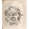 Der neuen Preußischen Provinzial Blätter. Dritte Folge. 1859. Band 3