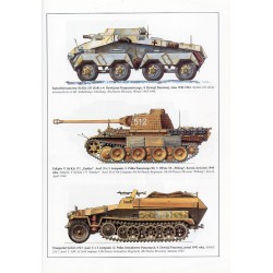 4 Dywizja Pancerna 1941-1945. Vol. V