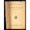 Borneo. W krainie łowców głów