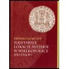 Najstarsze lokacje miejskie w Wielkopolsce (do 1314 r.)