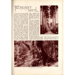 Tęcza. Ilustrowane pismo tygodniowe. R.4 (1930). Z. 38 (20 września 1930) / Stanisław Repeta / August Hlond / św. Augustyn / Świ