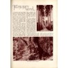Tęcza. Ilustrowane pismo tygodniowe. R.4 (1930). Z. 38 (20 września 1930) / Stanisław Repeta / August Hlond / św. Augustyn / Świ