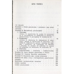 Polski pseudonim literacki