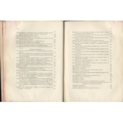 Die österreichisch-ungarische Monarchie in Wort und Bild. [T. 16]: Ungarn. Cz. 3 / Budapeszt / Rijeka (Fiume)