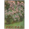 Tęcza. Ilustrowane pismo miesięczne. R.7 (1933). Nr 5 / Aleksander Augustynowicz / Polska ekspedycja polarna na Wyspę Niedźwiedz