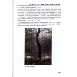 Wyżyna Krakowsko-Częstochowska [przewodnik]
