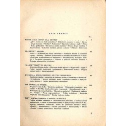 Współczesne statki morskie