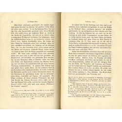 Streifzüge durch die biblische Flora