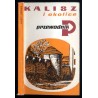 Kalisz i okolice. Przewodnik