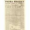 Polska Walcząca - Żołnierz polski na obczyźnie. Fighting Poland. Weekly for the Polish Forces. R.3 (1941). Nr 46 (15 listopada 1