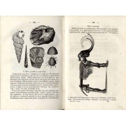 Historya naturalna systematycznie ułożona podług Milne-Edwardsa, Reichenbacha, Gistla, Richarda, Bromma i wielu innych znakomity