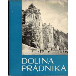Dolina Prądnika