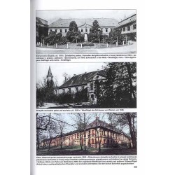 Śląskie zamki i pałace Donnersmarcków. Schlesische Schlösser der Donnersmarcks