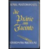 Die Prärie am Jacinto. Ein Roman aus Texas