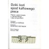 Dziki koń spod kaflowego pieca. Piękna i gruba książka o Jakubie Borgu i jego przyjaciołach