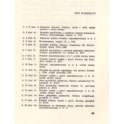 Broń palna europejska