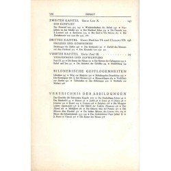 Michelangelo. Beiträge zur Erklärung der Werke und des Menschen