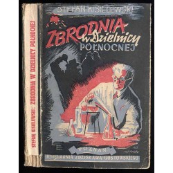Zbrodnia w dzielnicy północnej. Powieść