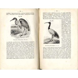 Zoologia dra Fryderyka Schoedlera