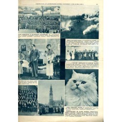 Ilustrowany Kurier Codzienny. Bezpłatny dodatek tygodniowy "Ilustrowanego Kuriera Codziennego" do nr 147. R.9 (1933). Nr 22 (434