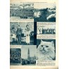 Ilustrowany Kurier Codzienny. Bezpłatny dodatek tygodniowy "Ilustrowanego Kuriera Codziennego" do nr 147. R.9 (1933). Nr 22 (434