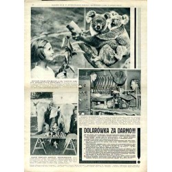 Ilustrowany Kurier Codzienny. Bezpłatny dodatek tygodniowy "Ilustrowanego Kuriera Codziennego" do nr 57. R.10 (1934). Nr 9 (482)