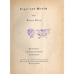 Tiger und Mensch