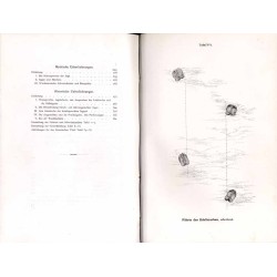 Das Edelwild. Monographischer Beitrag zur Jagdzoologie. Nebst einem Abriss mythisch-historischer Ueberlieferungen