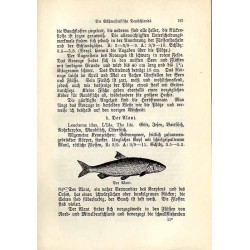 Das Ganze der Angelfischerei - nebst einem Anhange enthaltend: Belehrungen über die künstliche Fischzucht und über Teichwirthsch