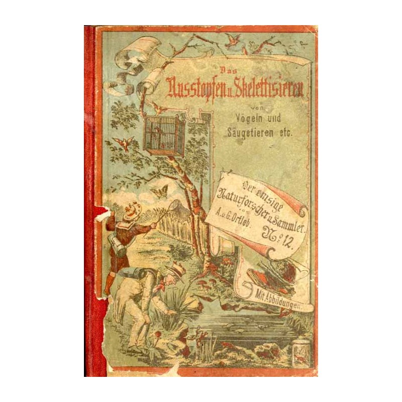 Das Ausstopfen und Skelettisieren von Säugetieren und Vögeln