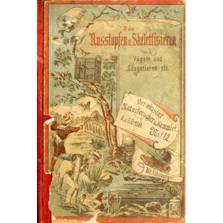 Das Ausstopfen und Skelettisieren von Säugetieren und Vögeln