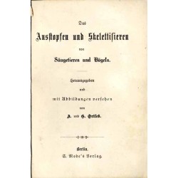 Das Ausstopfen und Skelettisieren von Säugetieren und Vögeln