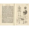 Das Ausstopfen und Skelettisieren von Säugetieren und Vögeln