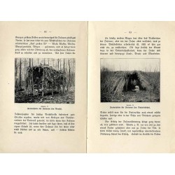 Die rationelle Wildfütterung insbesondere die Winterfütterung des Rehwildes