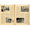 Echa Leśne. Czasopismo ilustrowane. R. 11 (1934). Nr 11 (Listopad 1934) / Puszcza Białowieska