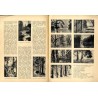 Echa Leśne. Czasopismo ilustrowane. R. 11 (1934). Nr 11 (Listopad 1934) / Puszcza Białowieska