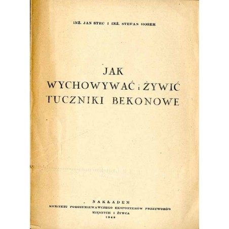 Jak wychowywać i żywić tuczniki bekonowe
