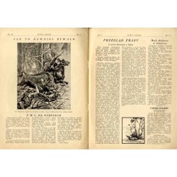 Echa Leśne. Organ Związku Leśników R.P., Rodziny Leśnika i Przysposobienia Wojskowego Leśników. Tygodnik ilustrowany. R.12 (1935
