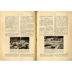 Ogrodnik. Organ Polskiego Związku Zrzeszeń Ogrodniczych i Syndykatu Plantatorów Chmielu. R.17 (1927). Nr 5 (10 marca 1927)