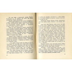 Eugenja czyli O dobrem zrodzeniu się wewnętrznem kobiety