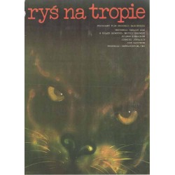 Ryś na tropie