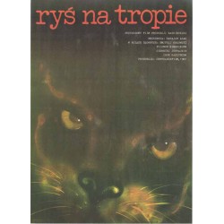 Ryś na tropie