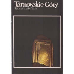 Tarnowskie Góry Kopalnia Zabytkowa