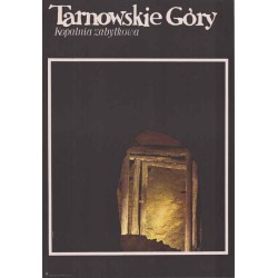 Tarnowskie Góry Kopalnia Zabytkowa