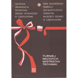 Turniej Młodych Mistrzów Techniki (Częstochowa)